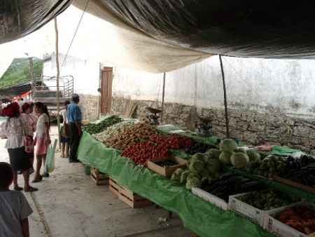 Las 100 preguntas parte IV